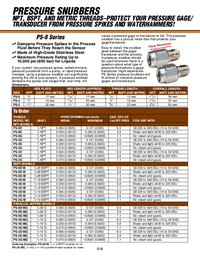 Thumbnail of document Data Sheet - PS-4G Pressure Snubbers to Protect Against Pressure Surges